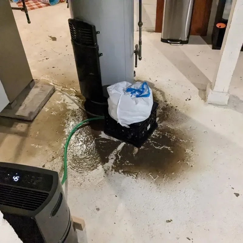 Sewage Backup Cleanup Service in Canton, MS